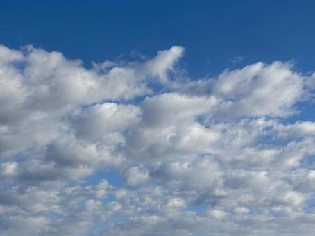 【空の写真】秋空  秋空,空,雲の写真素材