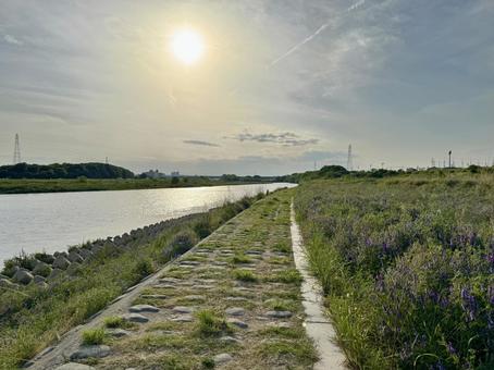 多摩川 河川敷 多摩川 河川敷の写真