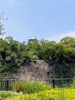 大阪城 大阪,大阪観光,大阪城の写真素材