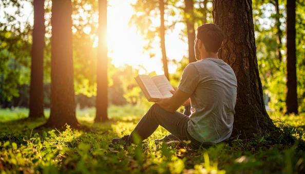 木漏れ日の中 読書する人物の後ろ姿 木漏れ日の中 読書する人物の後ろ姿の写真
