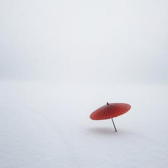 雪原に赤い和傘 雪原に赤い和傘の写真