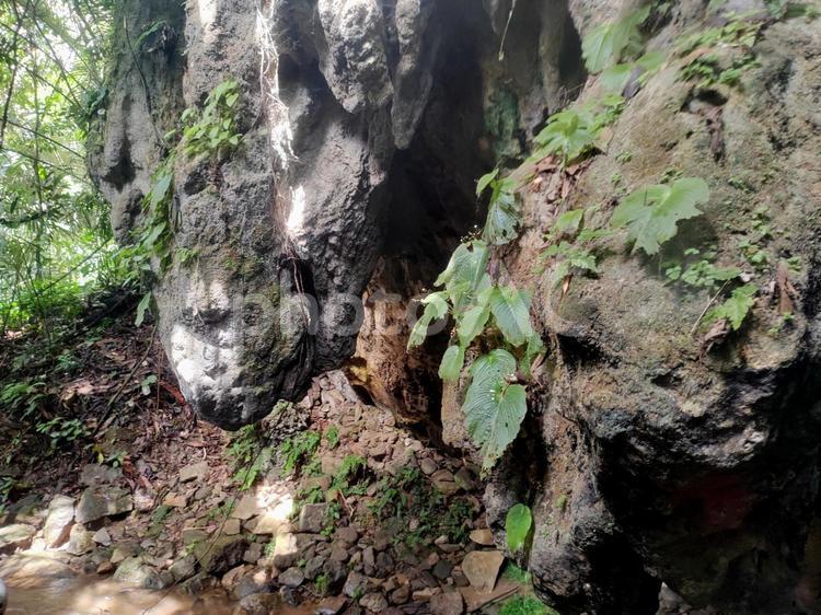 鍾乳洞 鍾乳洞,洞窟,岩の写真素材