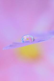 Droplet Photo, JPG Droplet Photo, JPG