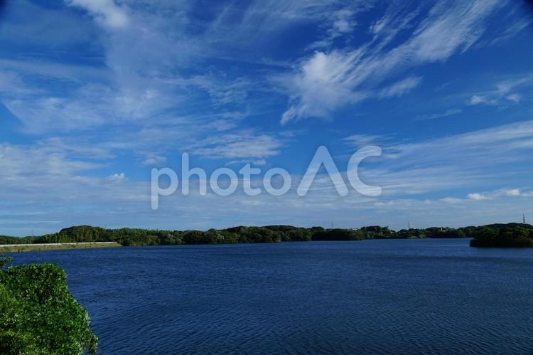 晴れた日の貯水池の風景 太陽,日差し,水面の写真素材
