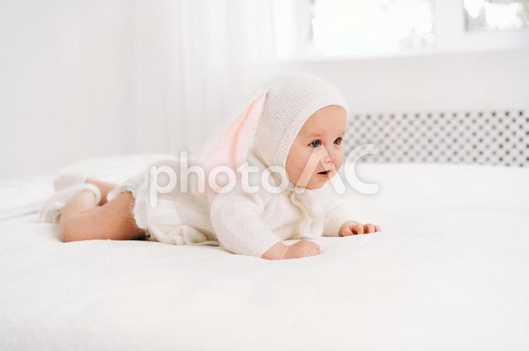 かわいいうさぎの服を着た横向きの赤ちゃん 赤ちゃん,かわいい,うさぎの写真素材