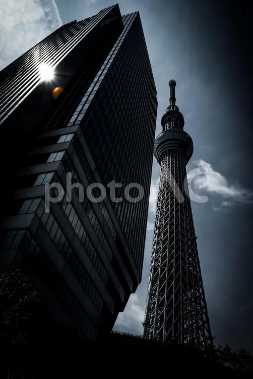 東京スカイツリー（モノクローム単色処理） 東京スカイツリー,スカイツリー,骨組みの写真素材
