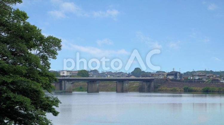新緑の季節の木曽川とライン大橋 犬山頭首工ライン大橋,木曽川,橋梁の写真素材