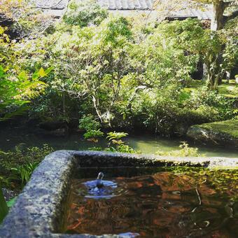 雫 雫の写真