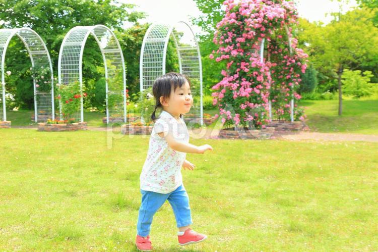 るんるん気分でおさんぽ 子供,女の子,夏の写真素材