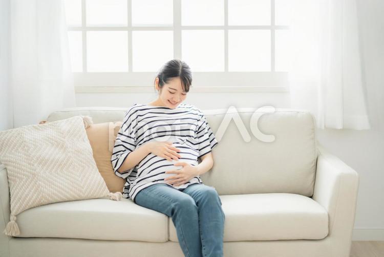 家でくつろぐ妊婦 妊婦,妊娠,妊活の写真素材
