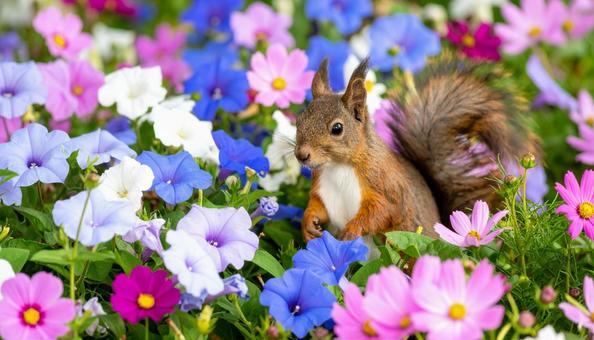 夏秋の彩りに包まれて 夏秋の彩りに包まれての写真