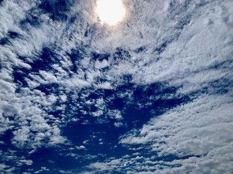 夏の空 夏の空の写真