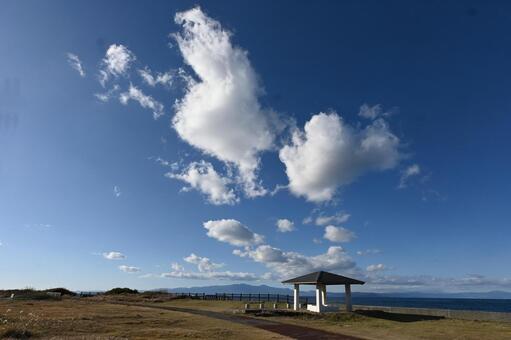 伊豆大島サンセットパームライン 伊豆大島,大島,伊豆七島の写真素材
