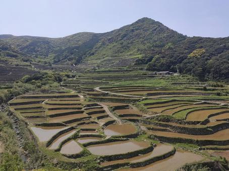 春日の棚田 春日の棚田 あぜ道,春日,棚田の写真素材