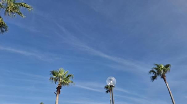 夏空 夏空 夏,青空,夏空の写真素材