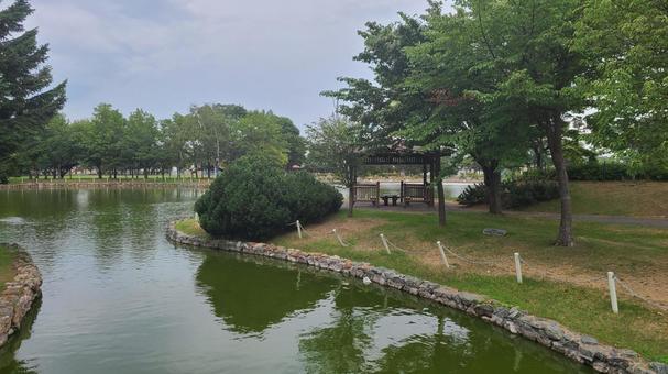 公園 公園の写真