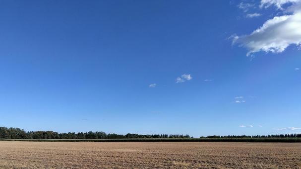 広がる大地と秋の青空 十勝晴れ 広がる大地と秋の青空 十勝晴れ 十勝,農作業,田舎の写真素材