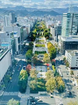 札幌大通り公園 札幌,さっぽろ,大通りの写真素材