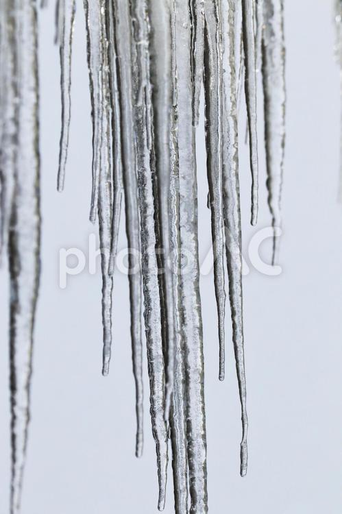 軒先の氷柱（つらら） 氷柱,つらら,垂氷の写真素材