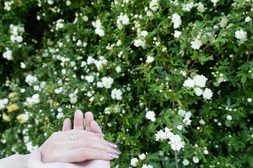 花に包まれた手と指輪の約束① 花に包まれた手と指輪の約束①の写真