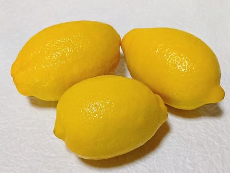 レモン レモン,檸檬,柑橘類の写真素材