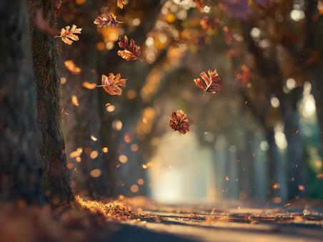 紅葉に包まれた穏やかな散歩道 紅葉に包まれた穏やかな散歩道の写真