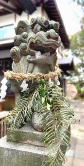 素盞雄神社の狛犬 阿(神戸) 素盞雄神社の狛犬 阿(神戸) 素盞雄神社,狛犬,阿の写真素材