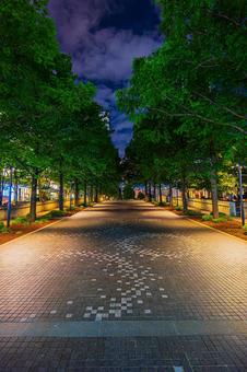 都市夜景 都市夜景,夜景,夜の写真素材