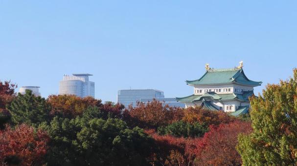 名古屋城　天守と名古屋駅前のビル群 名古屋城,尾張徳川家,御三家の写真素材