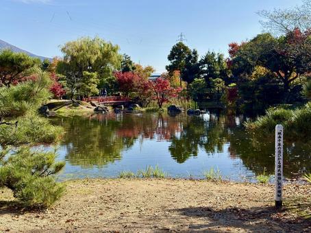 秋の昼間の紫式部公園　11月　紅葉 秋,紫式部公園,紅葉の写真素材