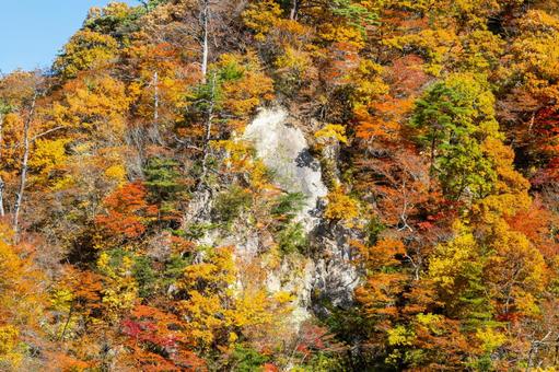 鳴子峡の秋-Vol.4⑺ 渓谷,峡谷,鳴子峡の写真素材