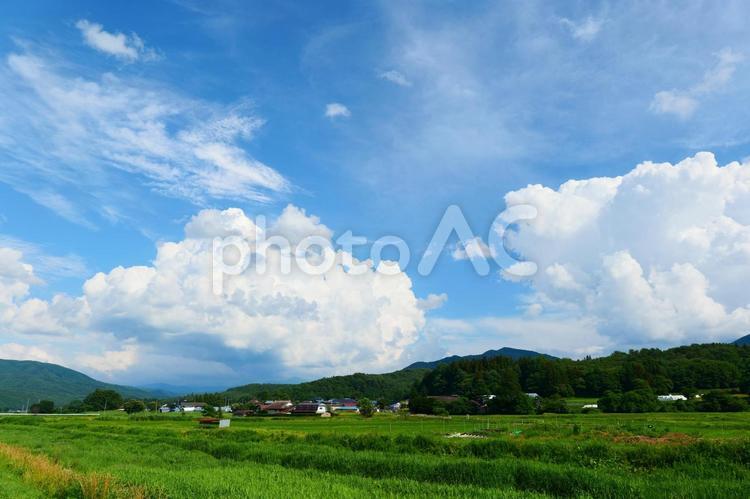 夏を迎えた山里。遠野、岩手。7月上旬。 雲,積乱雲,入道雲の写真素材