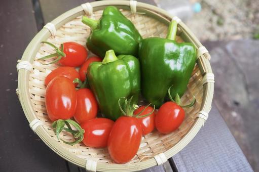 사진, 방울 토마토, 피망, 여름 야채, 