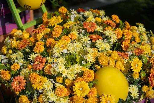 黄色の綺麗な花 黄色の綺麗な花 黄色の花,ガーデニング,花の写真素材