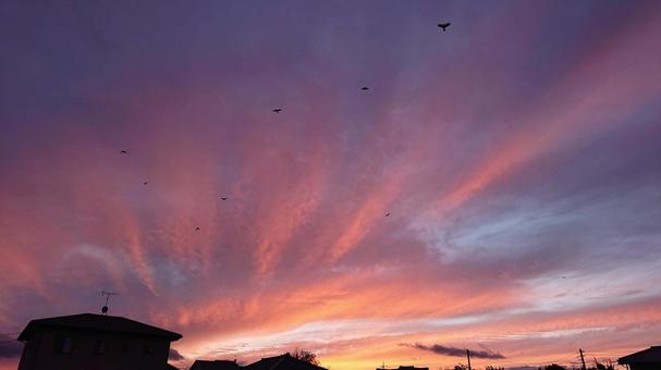 夕焼け 夕焼けの写真