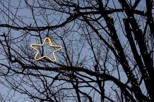 星形のイルミネーション クリスマス,イルミネーション,ライトアップの写真素材