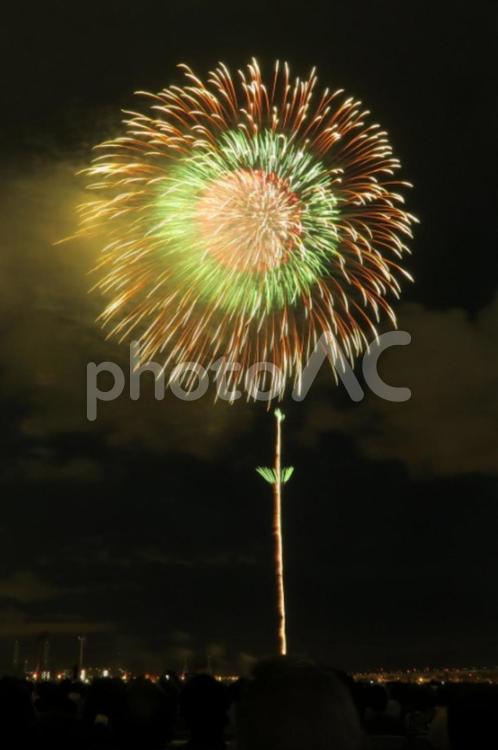 花火　firework 花火,花火大会,夏の写真素材