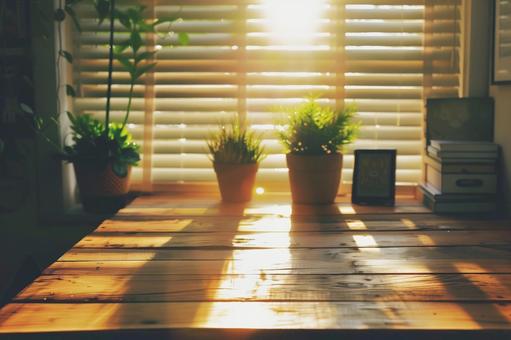 夕日が差し込む木製テーブルと観葉植物の写真
