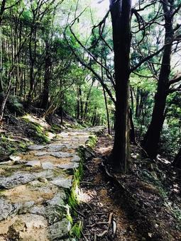 熊野権現 神倉神社 熊野権現 神倉神社 頂上付近,新宮市神倉,神倉神社の写真素材