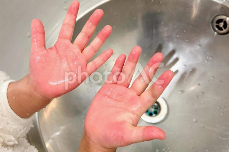 手洗い後の小さな手 手洗い,子供,濡れたの写真素材