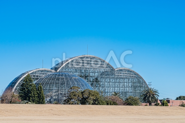 東京　江東区　夢の島熱帯植物館 風景,景色,東京の写真素材