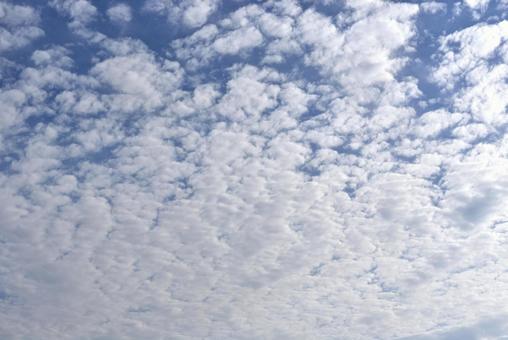 秋の雲 秋の雲の写真