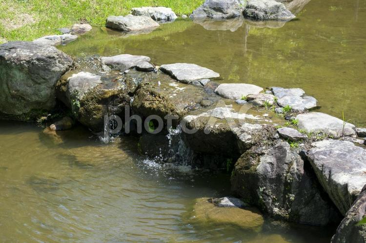 公園の小さな水路を流れる水 水,公園,自然の写真素材