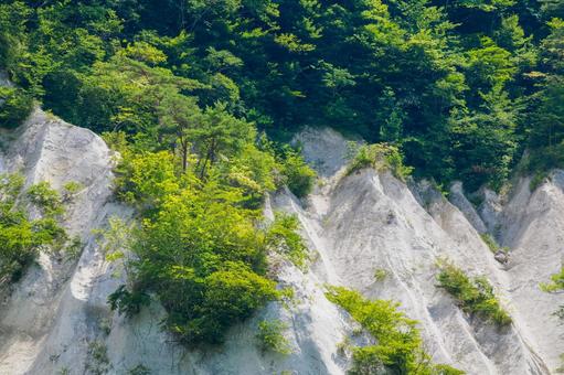 夏の白岩⑼ 夏の白岩⑼の写真