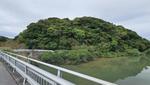 今帰仁の森と川 森,木,川の写真素材