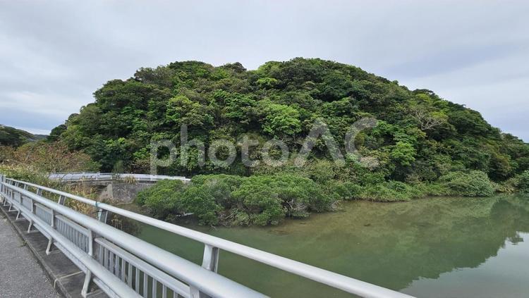 今帰仁の森と川 森,木,川の写真素材