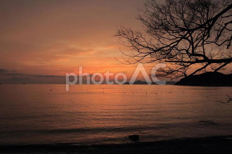 室手海岸　夕日 室手海岸,夕日,夕やけの写真素材