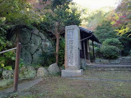 瑠璃光寺 瑠璃光寺,寺,風景の写真素材