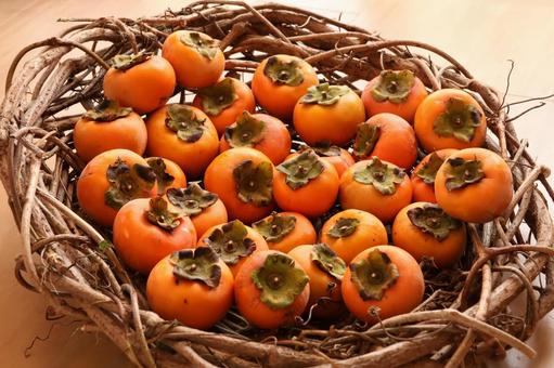 カゴに乗った柿 柿,秋,カゴの写真素材