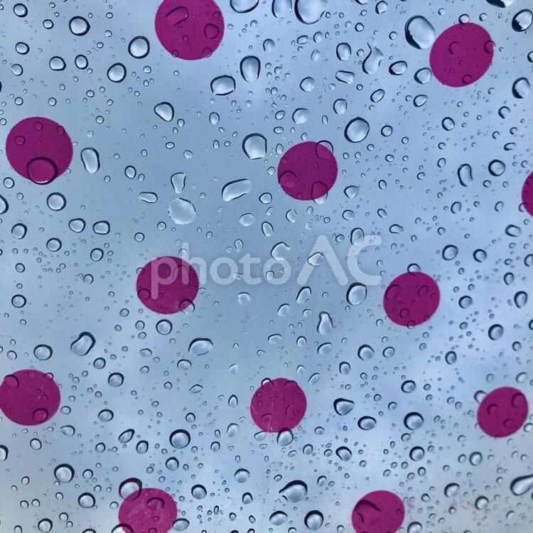 雨と水玉の傘 雨,愛,何人もありませんの写真素材